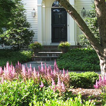 Pink flowers and green ground cover lining the walkway to the front door of a well maintained home