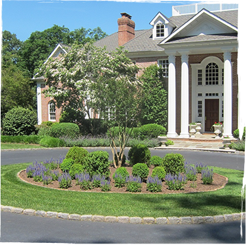 Circle driveway with lush grass and mulched area surrounding a tree in front of a stately front entrance