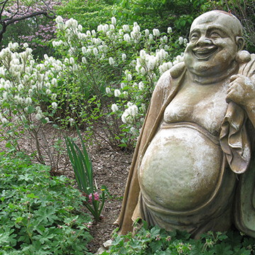 Statue of a smiling Buddha in a bed of white flowers.
